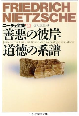 ニ-チェ全集 (11) (ちくま学芸文庫 ニ 1-11)