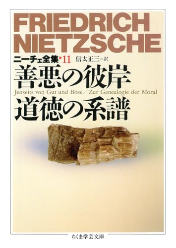 ニ-チェ全集 (11) (ちくま学芸文庫 ニ 1-11)