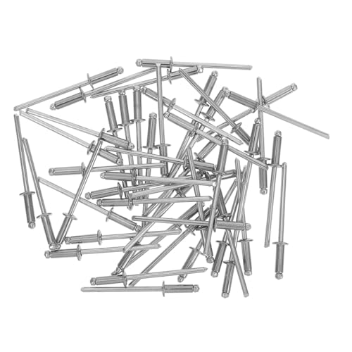 VILLCASE 50pezzi Rivetti Ciechi Testa Bombata in Acciaio Inossidabile Per Elettriche Estremità Per Uso Industriale e Elettrico