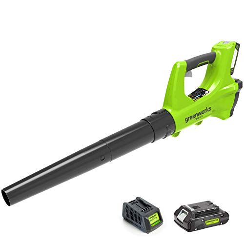 Greenworks Tools Akku Axial-Leafblower G24ABK2 (Li-Ion 24 V 160 km/h velocità dell'aria 280 CFM del flusso d'aria, controllo elettronico della velocità con batteria da 2Ah e caricabatterie)