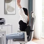 Joyzan Air Inflatable Lumbar Support Pillow, Portable Back Supports Cushion - Image 2