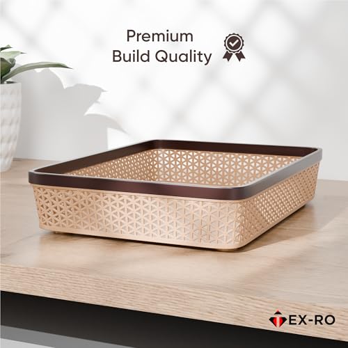 Image of TEX-RO Plastic Trays for Storage Organizer | Multipurpose Tray for Kitchen, Office & Drawer | Storage Tray for Documents, Cosmetics, Stationery | Woven Design Basket - Brown, Pack of 4