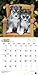 Siberian Husky Puppies 18-Month 2015 Calendar