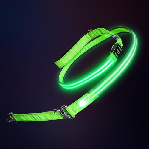 PetIsay Night Walking LED Dog Leash - 6FT Reflective & Waterproof Light Up Safety Leashes for Dogs - USB Rechargeable Green