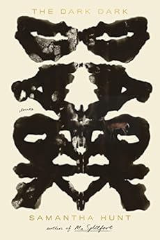 The Dark Dark: Stories by [Samantha Hunt]