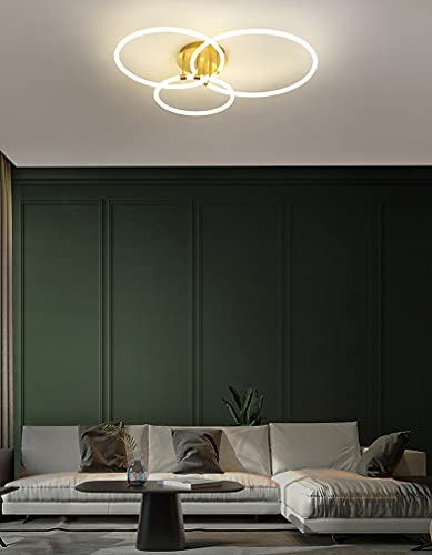 Scena applicabile: plafoniera a LED dimmerabile con funzione di controllo remoto illimitata, adatta per studio, camera da letto, sala da pranzo, soggiorno, cortile, sala espositiva, balcone, camera d'albergo, club ecc. Illuminazione interna.