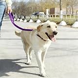 Cinto de segurança para cães para segurança de veículos – Coleira ajustável para cães de 38 a 53 cm, fivela de cinto de segurança - roxo