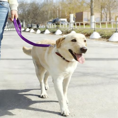 Cinto de Segurança para Cachorro com Coleira Ajustável - Roxo