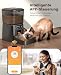 oneisall 3.5L Futterautomat Katze mit APP