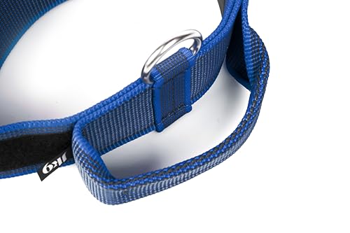 JULIUS K-9 100HA-K-B-2015 Color & Gray K9-Halsband mit Haltegriff, Sicherheitsverschluss und Logo, 40 mm*38-53 cm, verstellbar, blau-grau, 40 mm (38-53 cm)