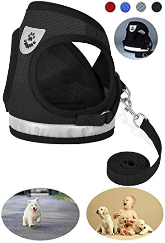 GAUTERF Dog and Cat Universal Harness with Leash Set, Escape Proof Cat Harnesses