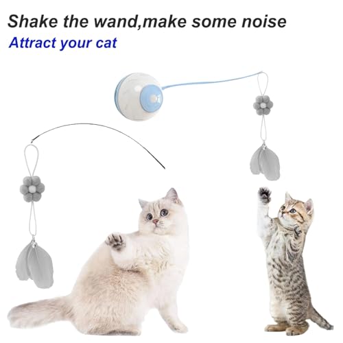 Ifashihome Cat Toilet Training Kit,Upgraded Cat Toilet Training Systems,Universal Reusable Trainer For Pet Cleaning With 1 Replaceable Cat Feather Toy thumb #7