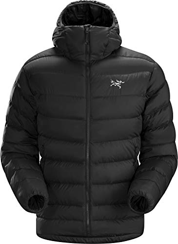 Arc'teryx Thorium AR Hoody Men's (Black, Large)