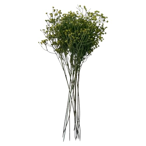 Image of Art Street Babys Breath Green Flowers |Artificial Gypsophila Bouquets Flowers| Faux Flowers for Vases Decoration, Items for Living Room (Set of 6)