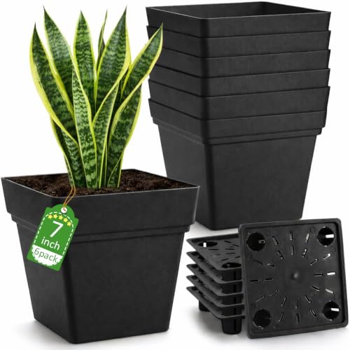 6-Pack 7 Inch Square Planters for Small Indoor Plants Plastic Flower Pots with Removable Built-in Drainage Tray & Water Control Plug Matte Black Plant Pot for Indoor Houseplants Herbs Succulents