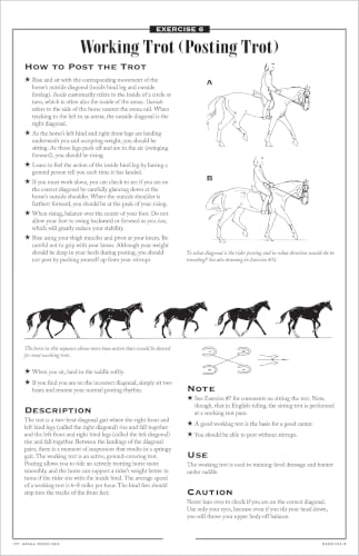 101 Arena Exercises for Horse & Rider – vue 4