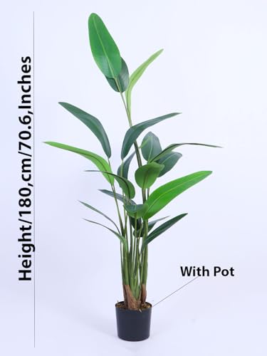 Image of ARICK DECOR 6Ft Artificial Bird of Paradise Plant in Pot, 6ft Large Faux Strelitzia Reginae Tree for Home Decor, Office, Living Room & Corner Accent