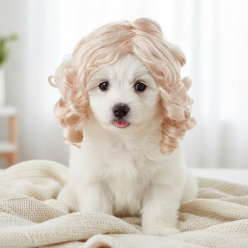 Peluca rubia para perros pequeña Elastic Bands miniatura 5