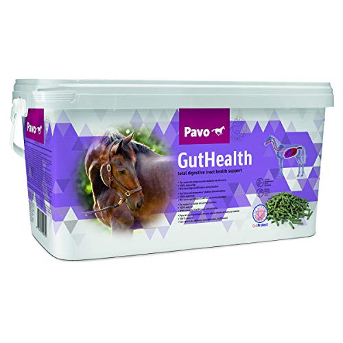 Pavo GutHealth 7,5 kg de Apoyo para el estómago y los intestinos