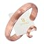 Rose Gold (Shine)