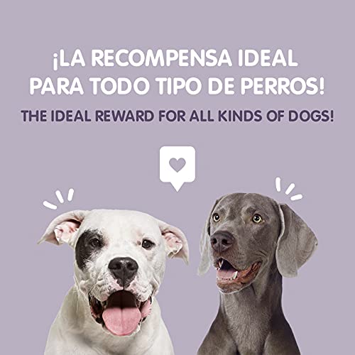 Familia_Snacks_MORDEDORES - Imagen 9