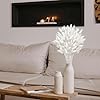 120 PCS White Dried Pampas Grass Decor, 17-inch Pompas Floral, Dry Flowers for Decoration, Pampas Grass in Bulk Tall, White Bunny Tails Dried Flowers for Boho Wedding #3
