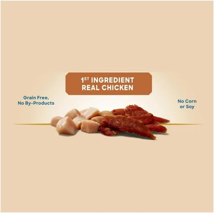 Golden Rewards Chicken Flavor Premium Dry Jerky Treats for All Dogs, 64 oz