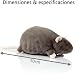 Imagen de YZBBSH Chonky Rat