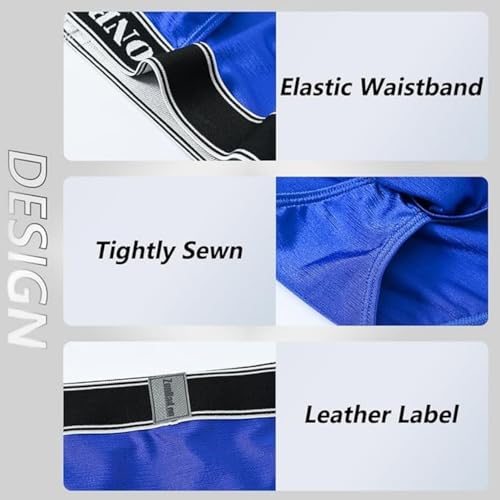 Men's Ice Silk Briefs Low Rise Sexy Biniki Briefs Underwears4
