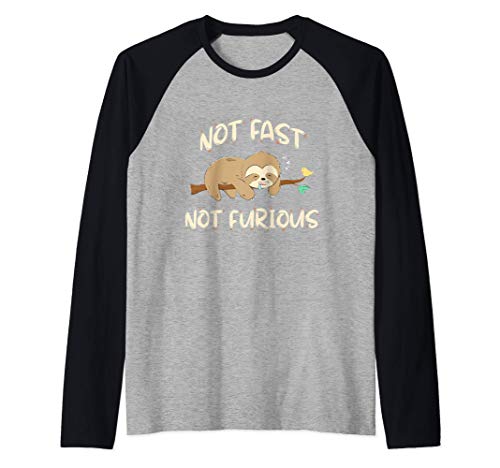 Sloths - Not Fast Not Furious - Cute Sleeping Sloth Lover Camiseta Manga Raglan