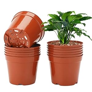 KINGLAKE 12 stuks 10 cm plantenpotten plantenpotten kweken zware bloempot plastic kleine kweekpotten kunststof potten planten rond voor zaden, sappige bloemen