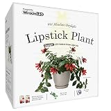 Miracle LED Lipstick Plant Grow Light Kit 2-Socket Full Spectrum (2- Pack)