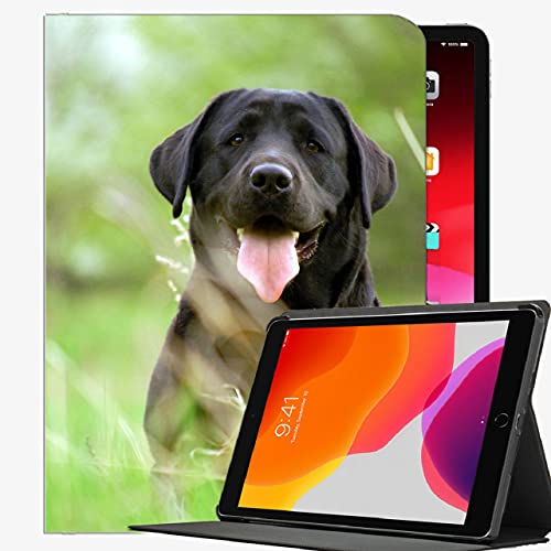 3.Facile accesso a tutti i controlli e le funzionalità; Ritagli perfetti per altoparlanti, fotocamera e altre porte;