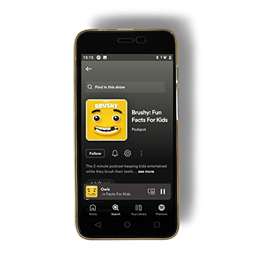 G-Mee Play Lite | Android Smart Multimedia Player With Bluetooth And Wi-Fi | No Google Apps Touch Screen Android Device | Use As Mp3 Mp4 Player | Play Selected Smart Music Apps #TOP5