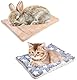 2 Stück Warme Meerschweinchen Decke,30*20cm Hamster Kaninchen Bett Matte,warme flauschige Welpen Fleecedecke,Bettmatte für Meerschweinchen,Geeignet für Hamster, Kaninchen, Chinchillas, Kätzchen usw.