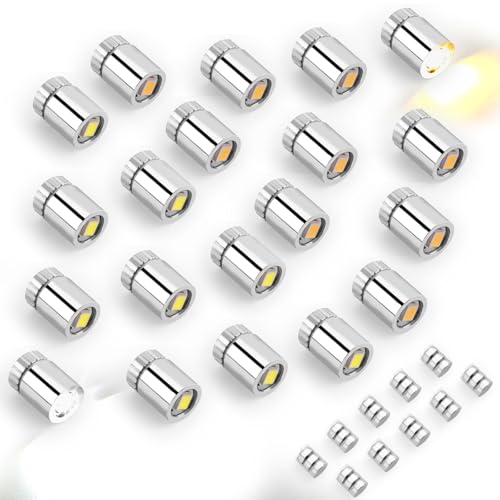 20pz Luci LED in Miniatura, Bianco Caldo e Bianco Freddo Mini Luci a LED Elettriche Micro Minuscole a Batteria con 10pz Batterie per Decorazioni Lanterne Carta Accessori per Case Bambole