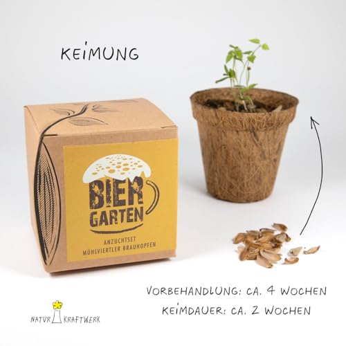 Geschenk-Anzuchtset Biergarten, Kulturhopfen aus Eigenanbau, inklusive Kokostopf und Anleitung