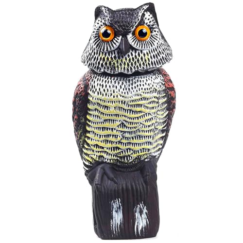 Ediesi, Coruja espanta pombos, hujentador de pássaros e espantalho exterior, natural e realista com cabeça giratória de 360º, anti-pombos para jardim e jardim