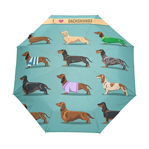 Poeticcity Dachshund Dogs Seamless on Turquoise Automatic Folding Umbrella, Auto Open/Close 3 Folds Parasol, Compact Windproof Strong Umbrellas for Travel Sun & Rain