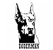 MDGCYDR Pegatinas Coche 8,9X16,7 Cm Pegatina De Coche Decoración Vinilo Calcomanía Ventana Parachoques Doberman Perro Mascota Dobe Negro