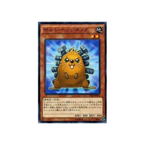 遊戯王 エクシーズ シンクロ Eccentric Boy (anime) - Yugipedia