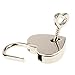 2 Pieces Small Metal Heart Shaped Padlock Mini Lock with Key for Jewelry Box Storage Box Diary Book,Silver