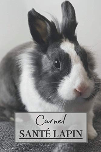 Carnet Santé Lapin: Carnet de sante à remplir pour votre lapin. Notez les vaccins, la nourriture utilisé mais aussi l'évolution de son poids, sa taille etc | + 100 pages