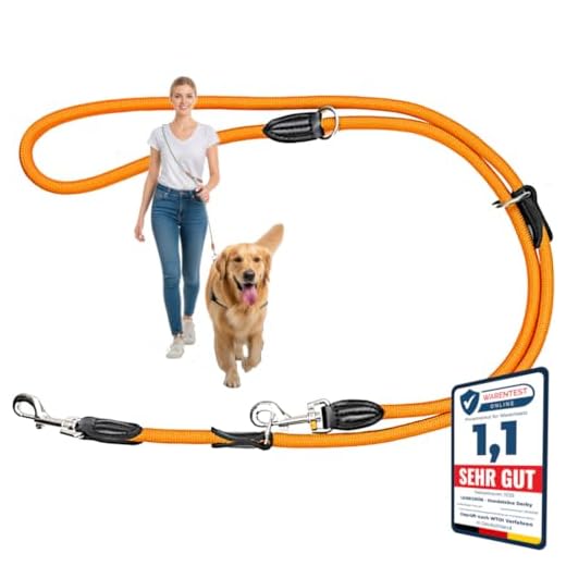 Ganzoo O - Ring mit Steg aus Stahl, 4er Set, DIY Hunde-Leine/Hunde-Halsband, nichtrostend, Steg-Ring ideal mit Paracord 550, geschweißt, Farbe: Silber matt 4 Leisegrün Nylon Hundeleine 2m verstellbar & rund | Paracord Tauleine, Umhängeleine, Doppelleine & Führleine mit Karabiner für 2 Hunde | 2 Meter x 11 mm | Orange