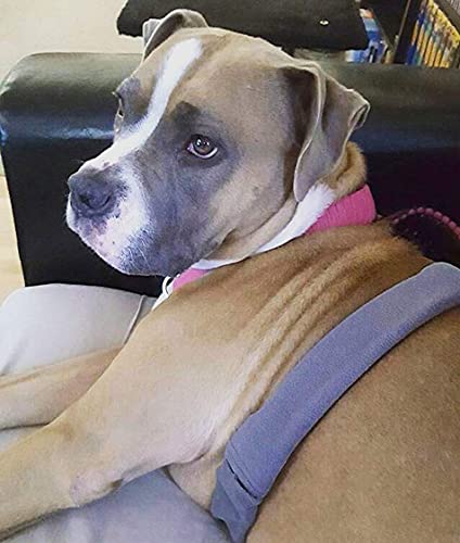 Eco-Pup Dog Harness Strap Cover Wrap, Size Large 18" Long, Charcoal Grey Fleece, Prevent Rubbing #TOP3