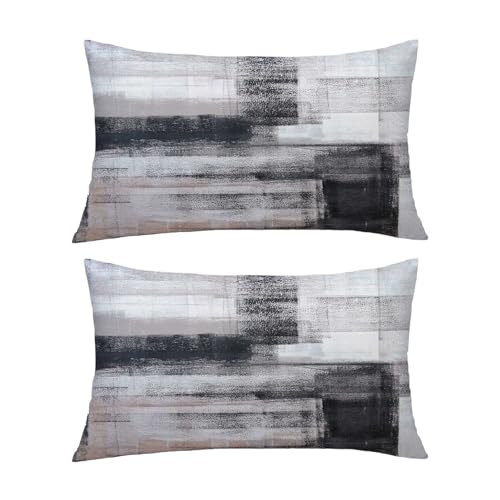 chiinvent Black White Velvet Abstract Pillow Covers Set of 2 Modern Accent Gray Throw Pillow Cover Soft Elegant Decorative Couch Cushion Cover for Bed Living Room Outdoor Sofa Pillowcases 12x20 Inch