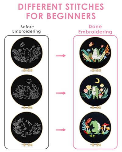 Image of TINDTOP 3 Sets Embroidery Kit for Adults, Frog Embroidery Practice Kit | for Beginners Include Embroidery Cloth Hoops Threads for Craft Lover Hand Stitch with Embroidery Skill Techniques