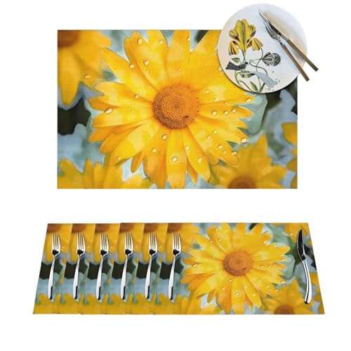 Set de table antidérapant lavable résistant chaleur PVC tissé marguerite - 2