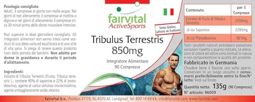 Tribulus Terrestris Kapseln Fairvital – 850mg Extrakt mit 90 Tabletten