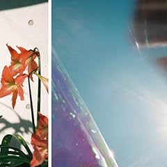 �l�̂��΂� / �V���C�g�[�v